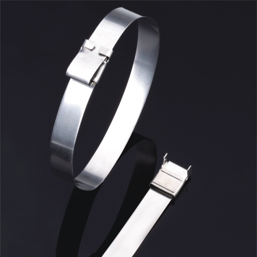 Stainless Steel Cable Ties- L Type Uncoated Tie
