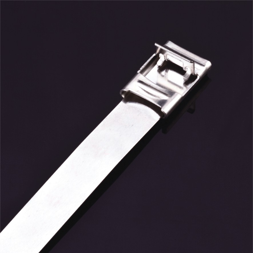 Stainless Steel Cable Ties- F Type Uncoated Tie