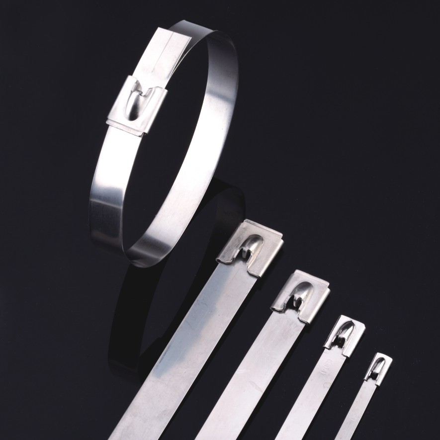 Stainless Steel Cable Ties- Ball-Lock Uncoated Tie