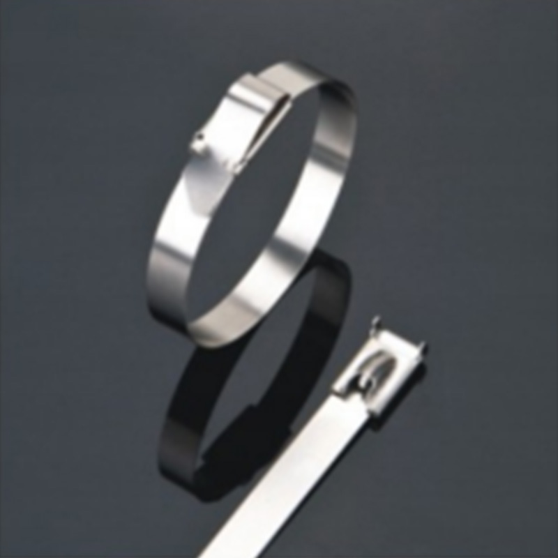 Stainless Steel Cable Ties- L Type Ball-Lock Uncoated Tie